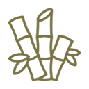 φυσικα Καλαμια