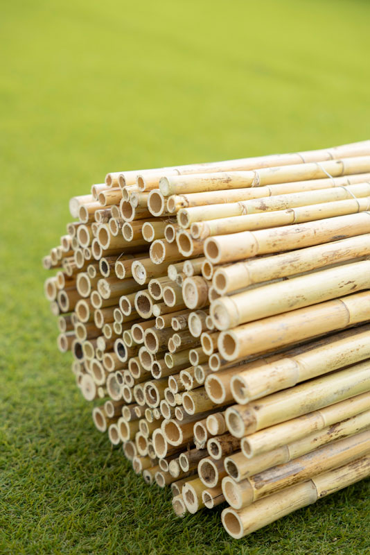 φυσικες καλαμωτες